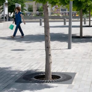 Square Tree Grate